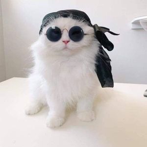 Meet your Posher, Chrisie